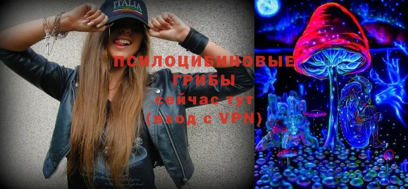 что такое   Курган  Псилоцибиновые грибы Magic Shrooms 